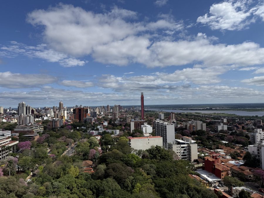 The view from the Edificio Palmanova rooftop over Asunción — skyline, treetops and the river beyond